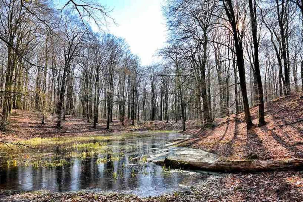 De Eekhoorn Vila Putten Exterior foto